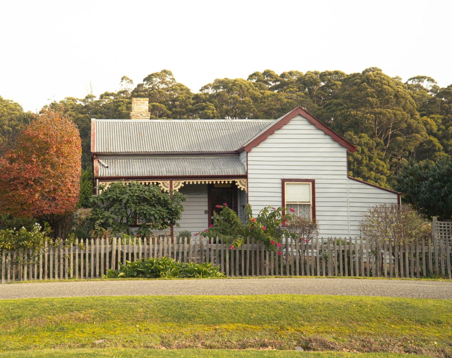 A weatherboard cottage behind a picket fence, with a garden out the front.